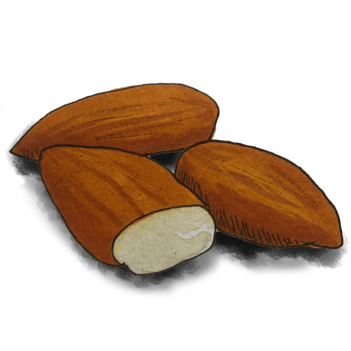 Almonds（アーモンド）