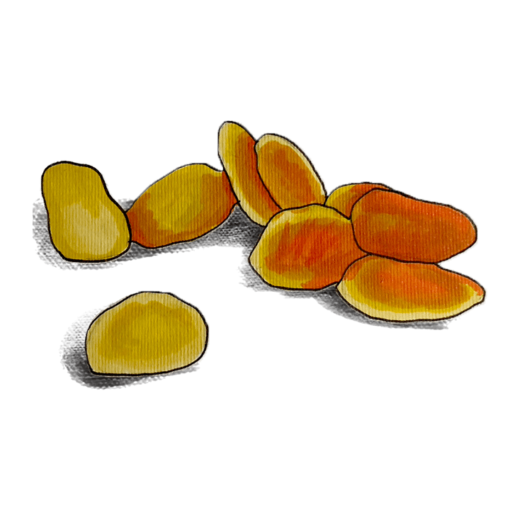 Dried-Fruit（ドライフルーツ）