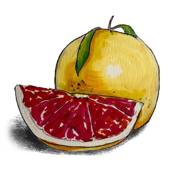 Grapefruit（グレープフルーツ）