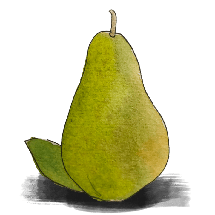 Pear（洋梨）